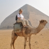 이집트서 한국인 여행객, 낙타 체험 중 추락해 숨져