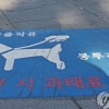 애완견 목줄 안 해 사람 다치게 한 개주인 2심서 벌금 절반 감형