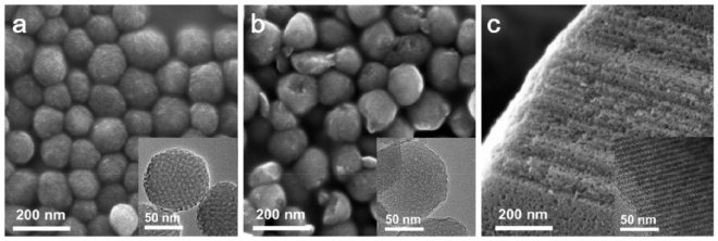 IBS 연구팀이 개발한 서로 다른 다공성 구조를 가진 연료전지촉매의 현미경 사진