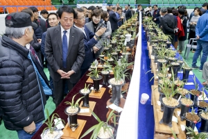 한국춘란 무명품 대회 23~24일 경남 합천에서 개최