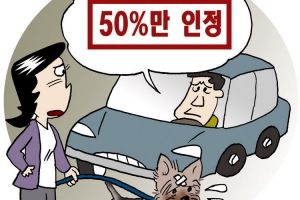 목줄 한 강아지 교통사고, 운전자 과실 비율은?