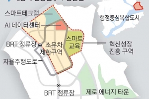 2021년 세종선 AI가 병원 연계… 부산에선 로봇이 발레파킹한다