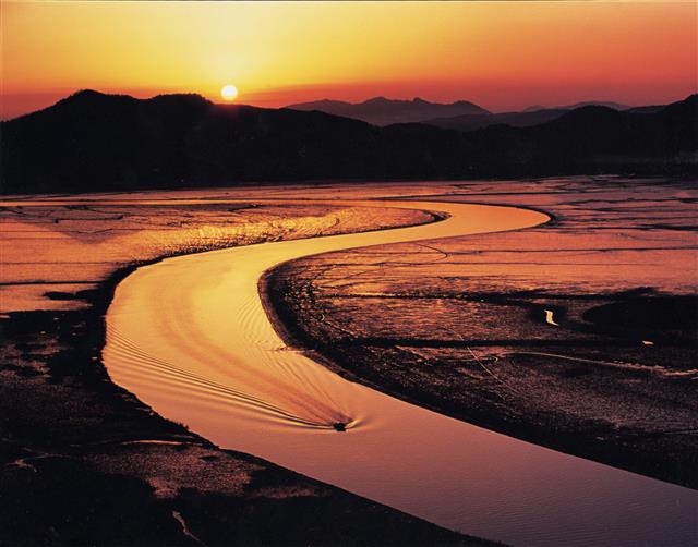 순천만습지 풍광.