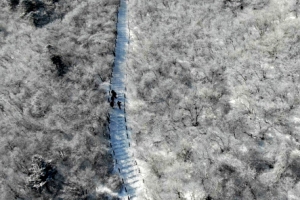 정월대보름이자 봄의 문 여는 ‘우수’에 서울·경기는 폭설