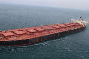 외교부 “스텔라데이지호 파편 주변서 사람뼈 추정 유해 발견”