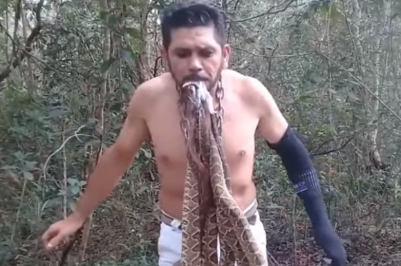 아마존 파괴 경고 위해 방울뱀 6마리 입에 문 환경운동가