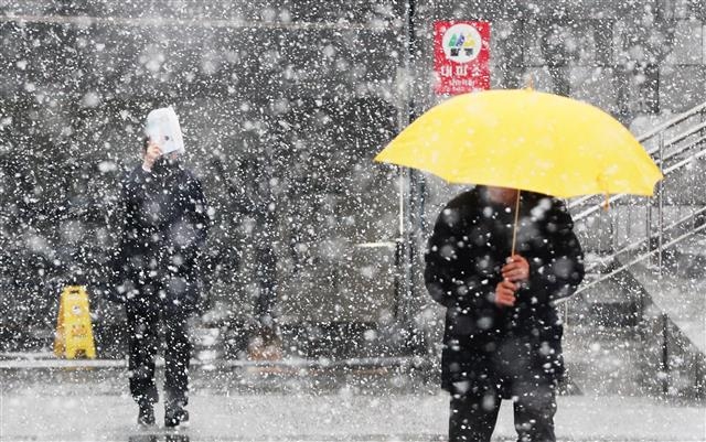 전국적으로 눈이 내린 19일 오전 서울 광화문네거리에서 출근하는 시민들이 눈을 맞으며 출근하고 있다.  기상청은 이날 오후까지 서울 등 중부 지방에 많게는 10cm가 넘는 눈이 내릴 것으로 예보하면서 대설주의보를 발령했다. 2019.2.19 뉴스1