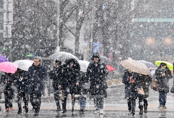절기상 우수인 19일 오전 서울 광화문 사거리를 지나는 사람들이 우산을 쓰고 있다. 2019.2.19.  도준석 기자 pado@seoul.co.kr