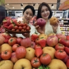 [서울포토] 롯데마트, 프리미엄 과일브랜드 ‘황금당도’ 출시