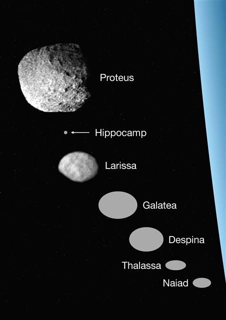 미국 연구진이 해왕성의 위성 중 가장 큰 트리톤 안쪽으로 도는 새로운 내측 위성을 발견했다. 해왕성과 떨어져 도는 공전 궤도에 따라 위성을 나열한 것이며 위성의 크기는 각기 다르다. 이번에 발견된 히포캄프는 해왕성의 다른 13개 위성들보다 작다. 위에서부터 프로테우스, 히포캄프, 라리사, 갈라테아, 데스피나, 탈라사, 나이아드.  미국 SETI연구소 제공