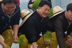 이천쌀 올해 전국 첫 모내기