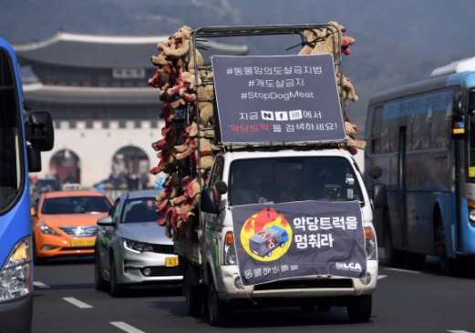 [서울포토] 임의도살 금지법 촉구 ‘악당 트럭을 멈춰라’