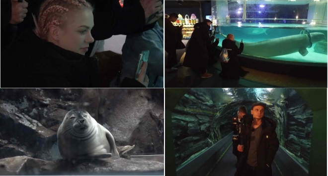 어서와 한국은 처음이지 폴란드