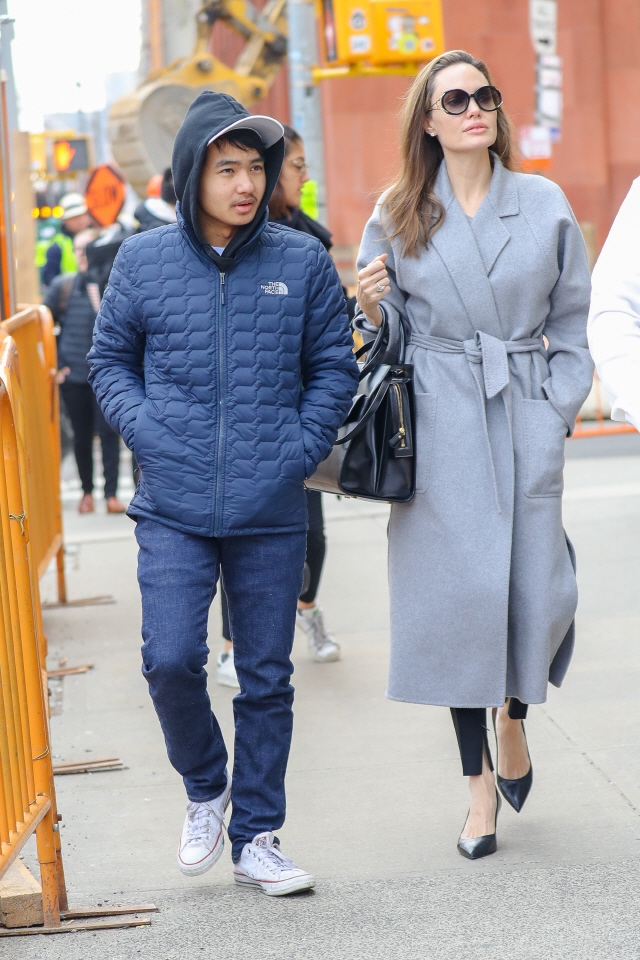 안젤리나 졸리 근황