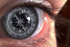 철새, 벌처럼 사람에게도 자기장 느끼는 ‘육감’ 있다?