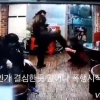 ‘시흥동 식당 묻지마 폭행’ 60대 남성 구속기소…피해자 아들 “엄벌 원해”(영상)