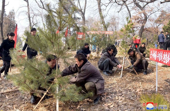 북한 ‘식수절’ 나무심기