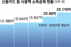 정부, 카드 소득공제 축소 검토…‘13월의 월급’ 쪼그라드나