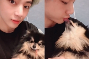 ‘연탄이 되는 방법’ 검색어 등장까지..BTS 뷔 반려견 화제