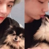 ‘연탄이 되는 방법’ 검색어 등장까지..BTS 뷔 반려견 화제