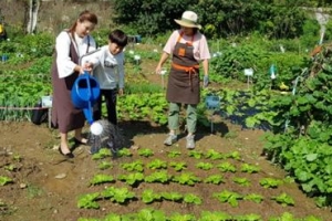관악, 5월 16~19일 ‘서울 도시농업박람회’