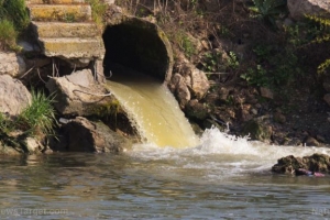 독성물질 페놀 정확하게 검출할 수 있는 기술 개발