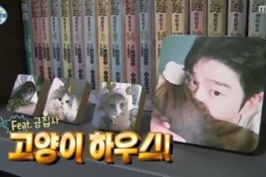 ‘나혼자산다’ 윤균상, 반려묘와 함께한 특별한 싱글라이프 [종합]