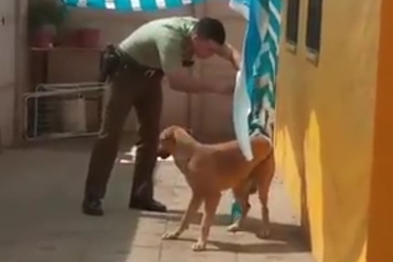 사람 경계하던 개가 자신 구해준 경찰관에게 보인 반응