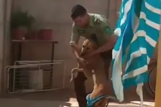 사람 경계하던 개가 자신 구해준 경찰관에게 보인 반응