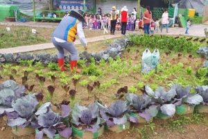 금천 “年 3만원에 수확의 기쁨을” 15일까지 주말농장 분양 신청 접수