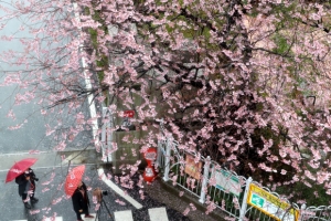 내일 오후부터 비 온 뒤 주말까지 ‘꽃샘추위’
