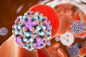 가장 강력한 간염치료제 무력화시키는 B형간염 내성 바이러스 발견