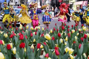 명동서 미리 만난 ‘에버랜드 튤립축제’