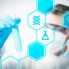 내년도 정부 R&D “기초연구와 중기지원에 집중한다”