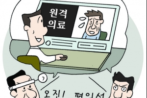 “공공의료 사각지대 보완” vs “오진·환자 정보 유출 위험”