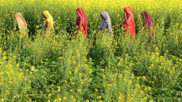 인도 여성들 AFP 자료사진
