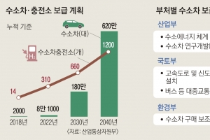 정부 컨트롤타워 부재에… 교통정리 안 되는 수소경제