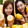 “올해 첫 수확한 성주 참외 맛보세요”