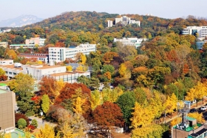 동대문구, 배봉산 둘레길 이어 ‘천장산 숲길’도 조성