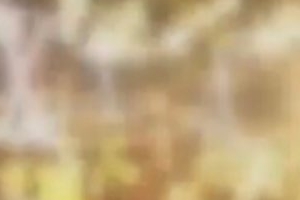 버닝썬 애나, 마약 판매+집단 흡입 사실로..