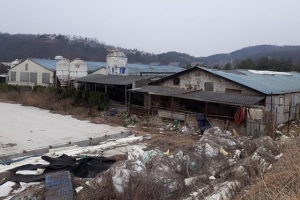 돼지농장에 막혀… 첫 삽도 못 뜬 군위 종합운동장