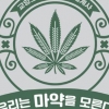 일상을 파고드는, 파괴하는 마약…우리가 현명하게 대처하는 방법