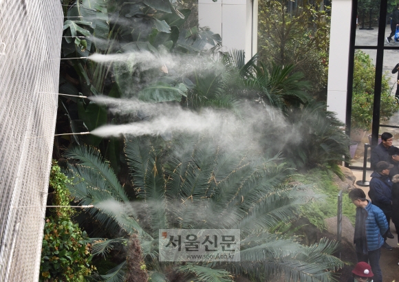 서울식물원 온실 자동 분무기에서 산소가 풍부한 수증기가 뿜어져 나오고 있다.