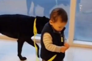 ‘집사부일체’ 강형욱 “대형견과 아이 함께 키우는 방법은..”