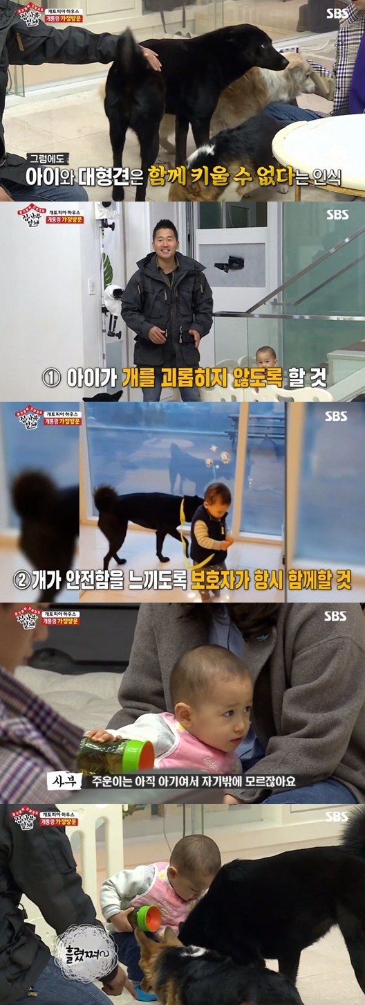 집사부일체 강형욱