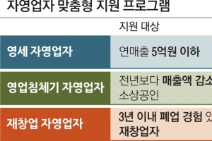 담보 부족·매출 감소한 영세 자영업자 쉽게 대출받는다