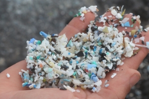 미세플라스틱이 흙 속 생물도 숨 막히게 만든다