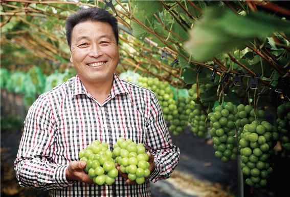 산떼루아영농조합법인 김동근 대표가 직접 재배한 ‘샤인머스켓’을 들고 환하게 웃고 있다. 농림축산식품부 제공