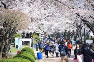 ‘진해군항제때 해군부대 구경하세요’, 군부대 개방하고 다양한 군체험 행사