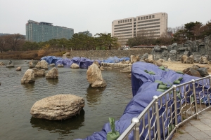 [서울신문 보도 그후] 일산호수공원 인공암 유리섬유 차단